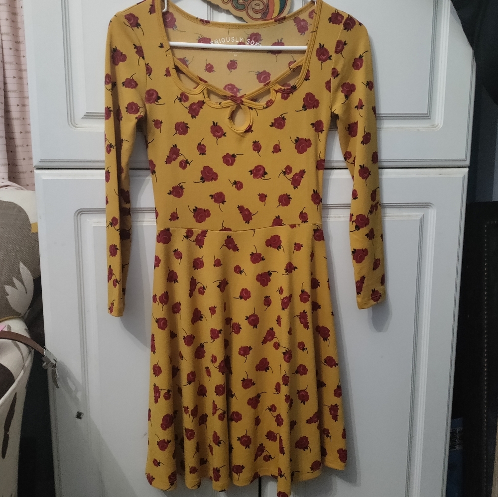 AERO skater rose dress
